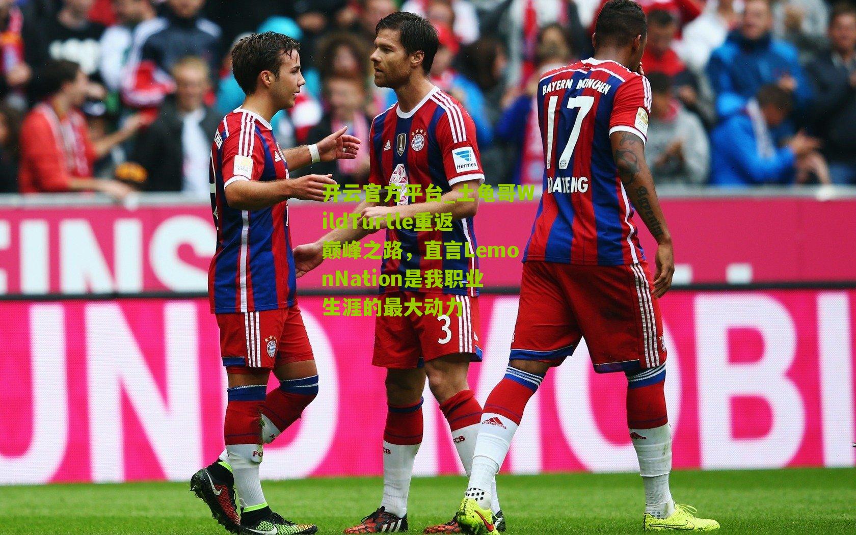 土龟哥WildTurtle重返巅峰之路，直言LemonNation是我职业生涯的最大动力